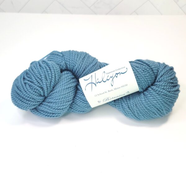 Halcyon Yarn’s Signature Botanica in Light Blue
